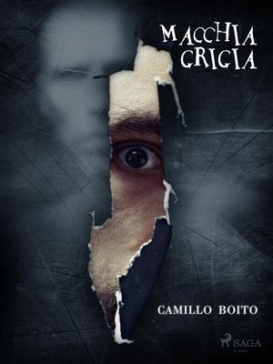 cover image of Macchia grigia